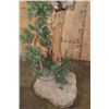 Image 7 : Big 11-Point MULE DEER Pedestal Mount on a Decorative Base with Wheels
