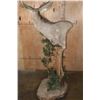 Image 8 : Big 11-Point MULE DEER Pedestal Mount on a Decorative Base with Wheels