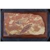Image 1 : 2 DIPLOMYSTUS DENTATUS Fossil Fish Specimen from the Green River Formation in Wyoming