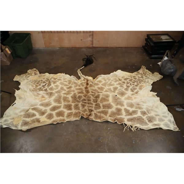 GIRAFFE Back Hide