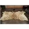 Image 1 : GIRAFFE Back Hide