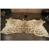 Image 2 : GIRAFFE Back Hide
