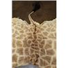 Image 5 : GIRAFFE Back Hide