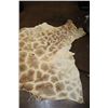 Image 6 : GIRAFFE Back Hide