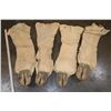 Image 6 : Set of (4) GIRAFFE Hooves on Giraffe Leg Hide