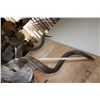 Image 8 : XL KUDU Shoulder Mount with a Small 3rd Horn Between the Eyes