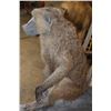 Image 10 : Life-sized BABOON on a Tree Log Wall Base