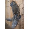 Image 3 : Life-sized BABOON on a Tree Log Wall Base