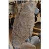 Image 7 : Life-sized BABOON on a Tree Log Wall Base