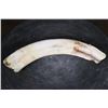 Image 3 : Scrimshawed HIPPOPOTAMUS Ivory Tusk Featuring Elephants by Luciana