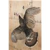 Image 3 : "Flying" TURKEY Mounted on a Driftwood Wall Base