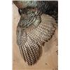 Image 6 : "Flying" TURKEY Mounted on a Driftwood Wall Base