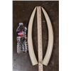 Image 2 : *TEXAS RESIDENTS ONLY* Small Set of Juvenile or Calf ELEPHANT IVORY Tusks