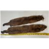 Image 1 : (2) *New* Soft and Tanned Male and Female MINK Furs, Skins, or Hides