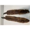 Image 4 : (2) *New* Soft and Tanned Male and Female MINK Furs, Skins, or Hides