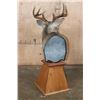 Image 4 : Typical 8-Point WHITETAIL DEER on a Wood Table Pedestal