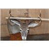 Image 6 : Typical 8-Point WHITETAIL DEER on a Wood Table Pedestal