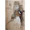 Image 2 : "Flying" PHEASANT on a Driftwood Wall Base
