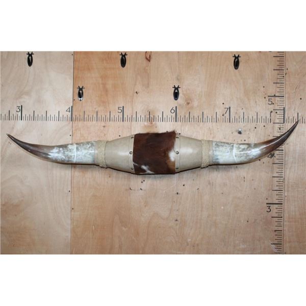 Big Set of Polished WATUSI Cross Horns with Hide and Rope Accents