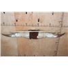 Image 2 : Big Set of Polished WATUSI Cross Horns with Hide and Rope Accents