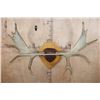 Image 2 : XL 12-Point SHIRAS MOOSE Antler Rack on a Wood Plaque