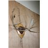 Image 4 : XL 12-Point SHIRAS MOOSE Antler Rack on a Wood Plaque