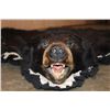 Image 1 : Double Felted BLACK BEAR Rug with its Mounted Head and All its Claws