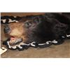 Image 4 : Double Felted BLACK BEAR Rug with its Mounted Head and All its Claws