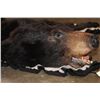 Image 5 : Double Felted BLACK BEAR Rug with its Mounted Head and All its Claws