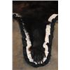 Image 6 : Double Felted BLACK BEAR Rug with its Mounted Head and All its Claws