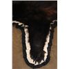 Image 7 : Double Felted BLACK BEAR Rug with its Mounted Head and All its Claws