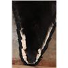 Image 9 : Double Felted BLACK BEAR Rug with its Mounted Head and All its Claws