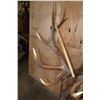 Image 5 : Massive XXL 15-Point ELK Shoulder Mount