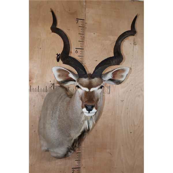 KUDU Shoulder Mount