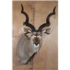 Image 1 : KUDU Shoulder Mount