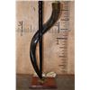 Image 6 : Polished NYALA and GEMSBOK Horn LAMP with African Porcupine Quill Shades