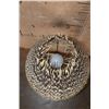 Image 4 : Polished GEMSBOK Horn LAMP with an African Porcupine Quill Shade