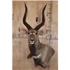 Image 1 : NYALA Wall Pedestal Mount