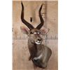 Image 2 : NYALA Wall Pedestal Mount