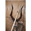 Image 8 : NYALA Wall Pedestal Mount