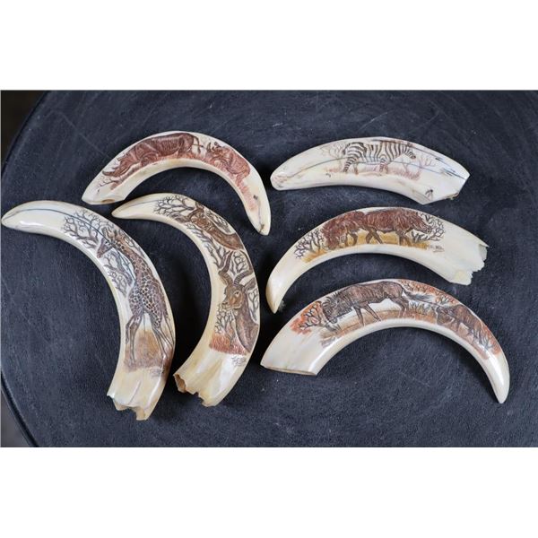 (6) Scrimshawed WARTHOG Tusks Featuring African Animals