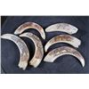 Image 1 : (6) Scrimshawed WARTHOG Tusks Featuring African Animals