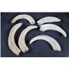 Image 7 : (6) Scrimshawed WARTHOG Tusks Featuring African Animals