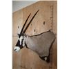 Image 3 : GEMSBOK Wall Pedestal Mount