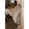 Image 5 : GEMSBOK Wall Pedestal Mount
