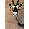 Image 6 : GEMSBOK Wall Pedestal Mount