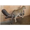 Image 4 : *TEXAS RESIDENTS ONLY* Big Life-sized LEOPARD on a Lightweight Log Base