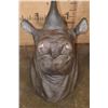 Image 10 : *TEXAS RESIDENTS ONLY* Real Skin BLACK RHINOCEROS Shoulder Mount with Reproduction Horns