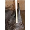 Image 11 : *TEXAS RESIDENTS ONLY* Real Skin BLACK RHINOCEROS Shoulder Mount with Reproduction Horns