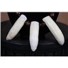 Image 2 : Leather Necklace with 3 Huge ALLIGATOR Teeth from a 13' Long Gator